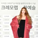 테디라인
