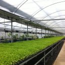 장전농장 이미지