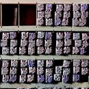 동학교당 유물 이미지