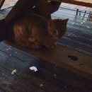 상주 경천대 오토캠핑장 이미지