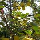 골드농장 이미지