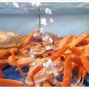 대포대게활어회마트 이미지