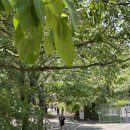 미르오토 이미지