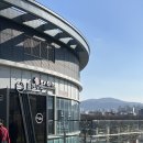 다미정 | 가락시장 고기+회 상차림 가능한 초장집 다미정 후기(내돈내산/가는법)