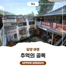 담양추억의골목 | 아이랑 담양 여행, 추억여행 제대로 하고 온 담양 추억의 골목 후기 💛