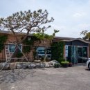 묵은지와 참두부 이미지