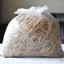 삼생농장 | 묘삼 생무침, 묘삼꿀절임