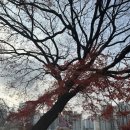 국립기상박물관 | 유아랑 갈 만한 서울 박물관 추천! 30개월 아기랑 즐긴 국립기상박물관 후기