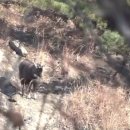 국립공원공단 국립공원연구원 북부보전센터 이미지