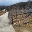 일등공장공인중개사사무소 이미지