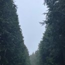 천리목장 이미지