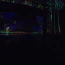 실버댄스(실용) | 괌마술쇼 샌드캐슬 씨어터 퍼포먼스 좌석 정보 관객 참여