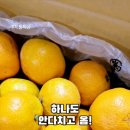 승환목장 이미지