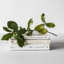 만수고등학교 이미지