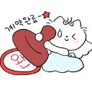 웨딩비르우엘