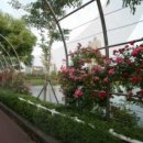 송파나루공원(석촌호수) 이미지