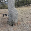 트윈목장 이미지