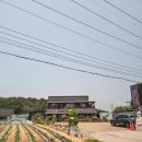 조남로 | 구미 선산 찐맛집 농부네 – 현지인이 추천한 낙지덮밥+청국장 세트 리얼후기!