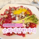 동대문구 문화회관 | 동대문시장 맛집 한식 동대문 맛집 추천 순희네빈대떡 닭한마리 동대문본점