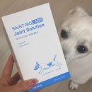 바이오랩스 | 강아지 관절 영양제 추천 세인트바이오랩스 솔직후기