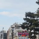 봉래체육관 네이버블로그
