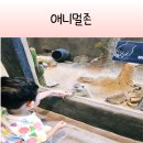 금빛로 69번길 | 직접 만지고 먹이까지?! 실내동물원 애니멀존 솔직후기 주차꿀팁
