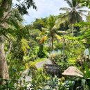 뉴발리모텔 | 발리 여행 플로팅조식 추천 / Purigangga 푸리강가 리조트 앤 스파 인 우붓