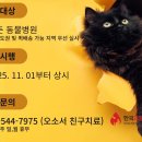 한국고양이혈액센터 이미지