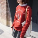 스카이엘씨 이미지