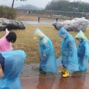 꿈나래유치원 이미지