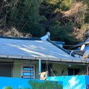 안도리화장실 이미지