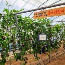 함평농장 이미지