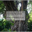 사단법인 좋은모임 이미지