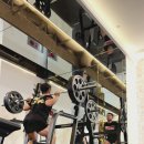 오랜만입니다 엔더슨스쿼트 이미지