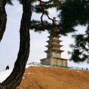 중앙탑공원(충주) Daum카페