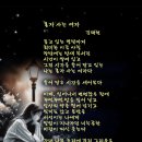 혼자 사는 여자 / 김태헌 이미지