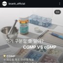 뉴스코화장품
