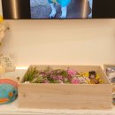 순천 반려동물장례식장 하늘별 이미지