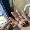 충남삼성고등학교 이미지