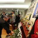 YS바이오 이미지