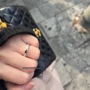 에린키친 | (결혼준비) 연희동 프랑스 코스요리 디삐에 솔직후기(내돈내산, 프랑스요리, 청첩장모임장소)