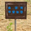 연님농장 이미지