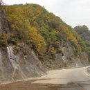 천연머리염색 전문점 이미지