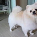 통일로1258번길 이미지