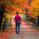 주영초등학교 이미지