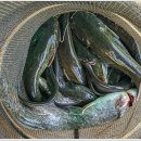 대명낚시터 이미지