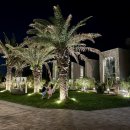 에다모니아 이미지