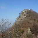 조견사우 Daum카페