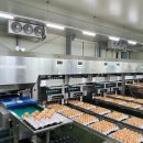 현풍농장 이미지