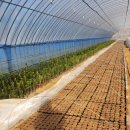 포트민 Daum카페